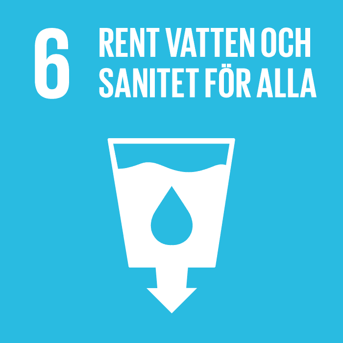 Mål 6