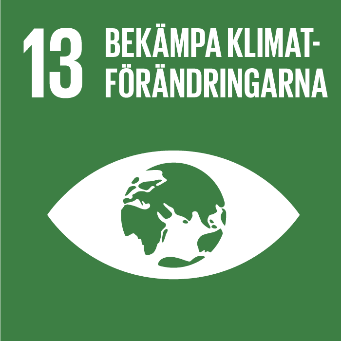 Mål 13